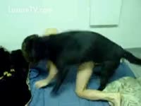 Dog Fucked and Licked his Owner's Pussy